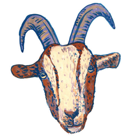 Capricorn sea goat animal illustration