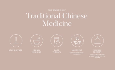 What Is TCM? Underlying Principles & 5 Branches