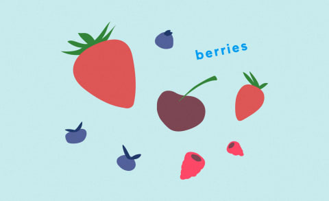 illustration of berries