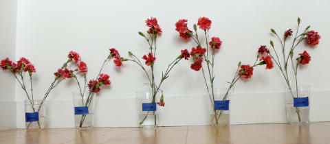 five flower bouquets in a row