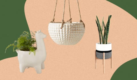 Houseplant pot arrangement: hanging pot, alpaca pot