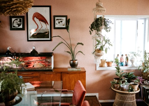 living room and kitchen with flamingo print hanging on wall and lots of plants