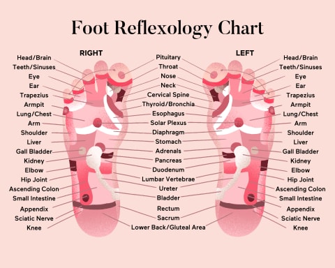 Foot reflexology chart with pressure points labeled