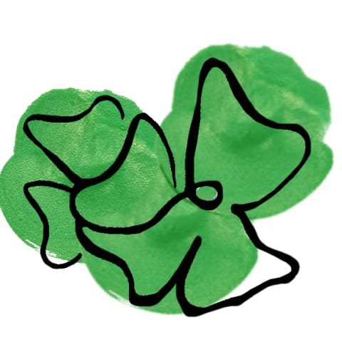 four leaf clover