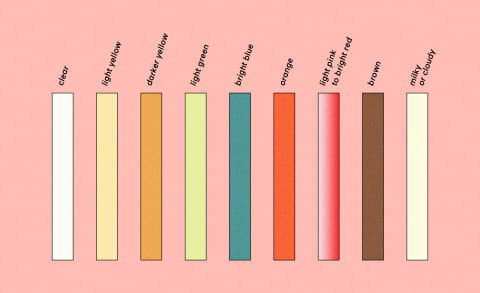 Pee color chart