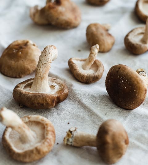 shiitake mushrooms