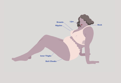 A diagram of various erogenous zones. A diagram of various erogenous zones.