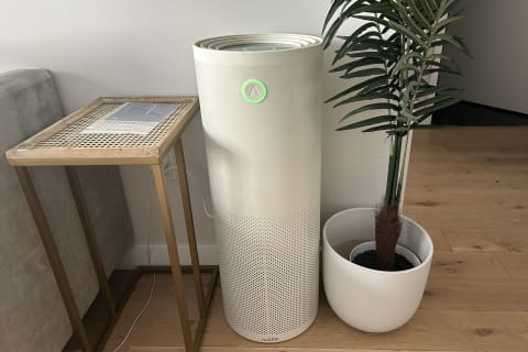 photo of jaspr air purifier set up in writer's home