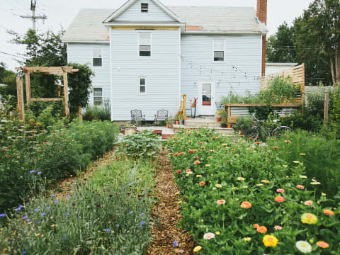 bustling home garden with rows of flowers