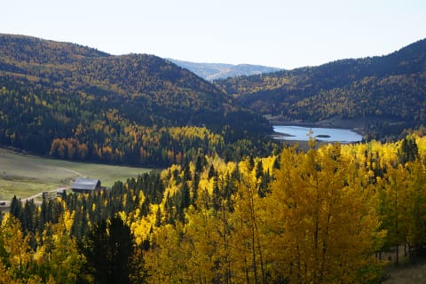 Colorado s Leaves Are Putting On A Show Now  - 7