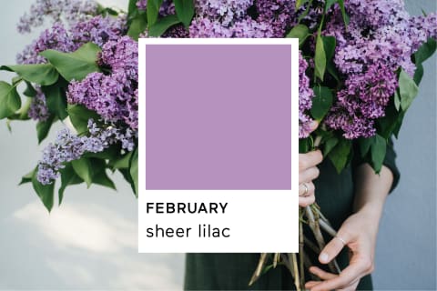 Pantone Sheer Lilac