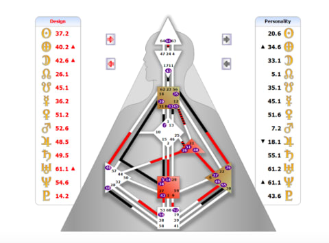 What I Took Away From My Human Design Reading - 12