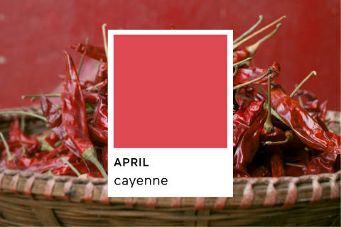 Pantone Cayenne