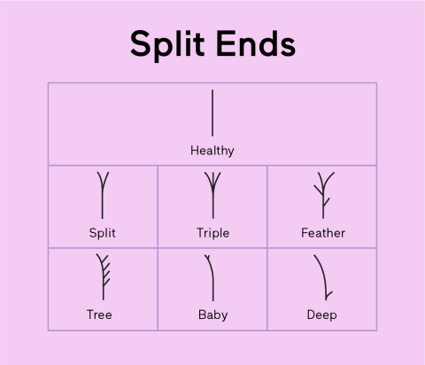split ends chart 