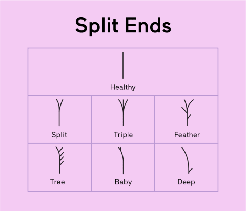 Different Types of Split Ends and What They Mean