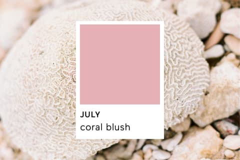 Pantone Coral Blush