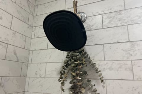 canopy filtered showerhead