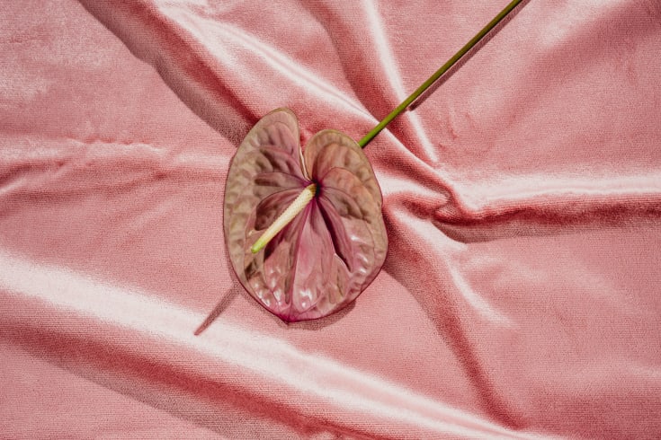 9 Vagina Types  Why Theres No Such Thing As Normal Labia