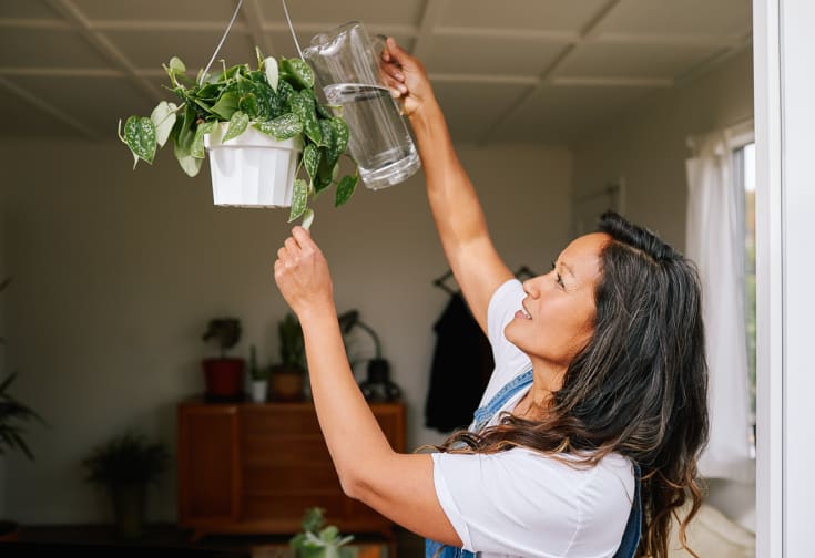 5 Signs Of Overwatered Plants + How To Nurse Them Back To Health