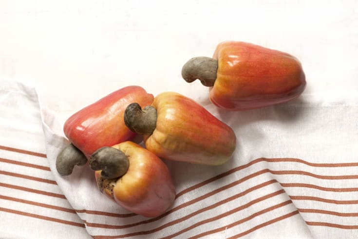 cashew apple buy