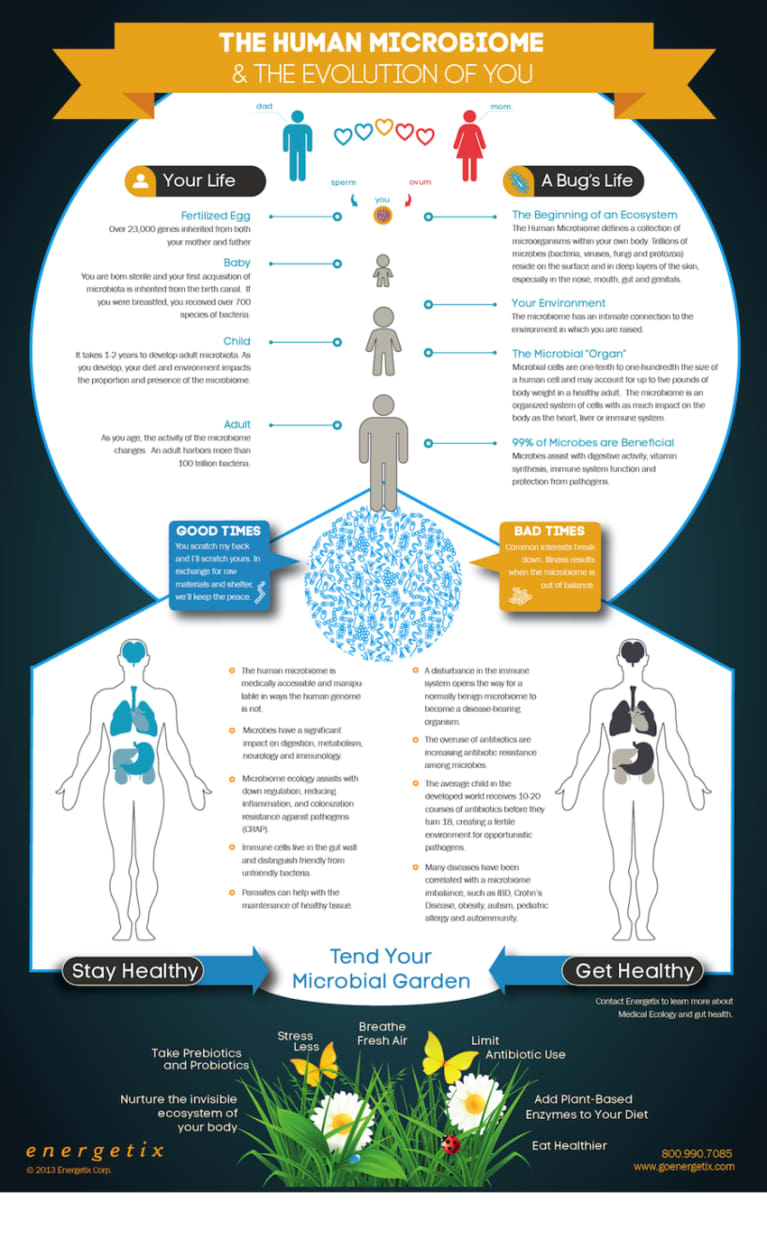 Why Everything We Were Taught About Digestion Metabolism And Immunity Is