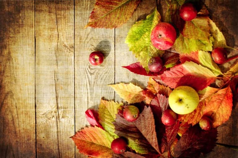 6 Thanksgiving Recipes For Gratitude Mindbodygreen
