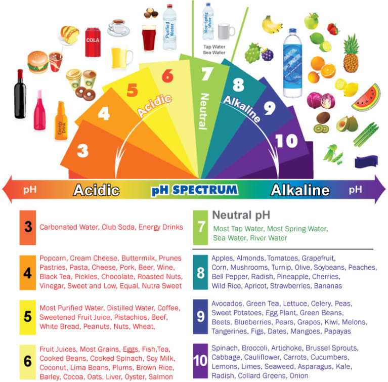 Alkaline Acidic Foods Chart The PH Spectrum