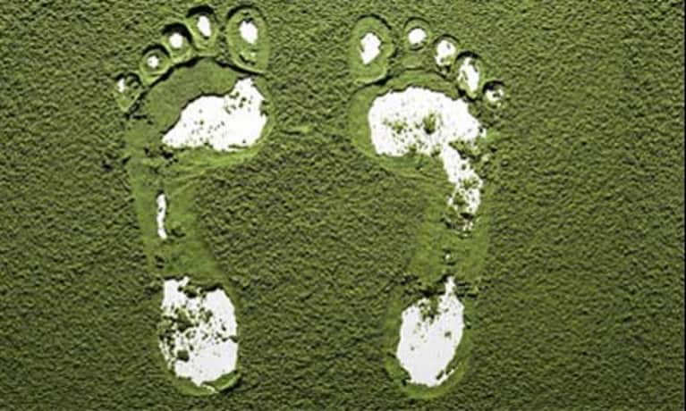 9 Easy Ways To Compress Your Carbon Footprint Mindbodygreen