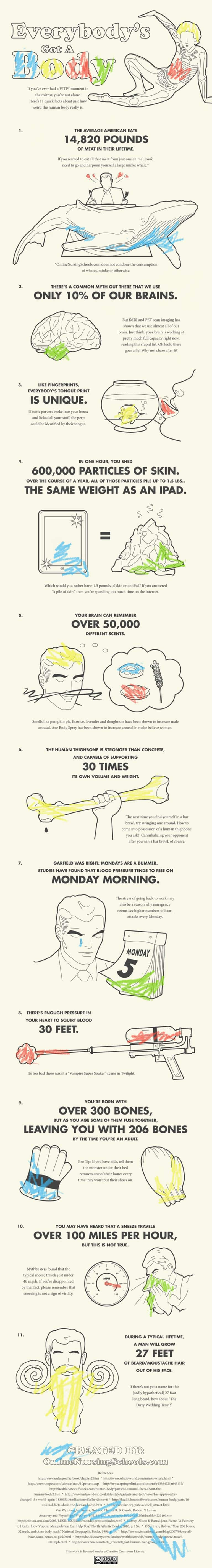 11 Weird Facts About The Human Body Infographic Mindbodygreen