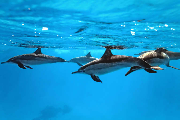 Photo: iStock