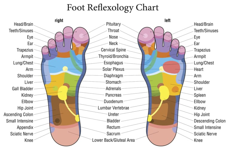 Reflexology Foot Chart Sleep