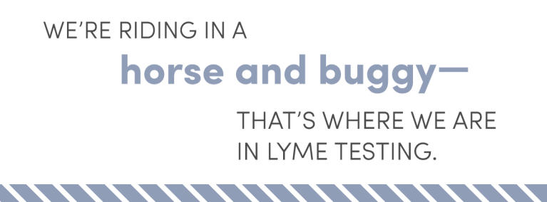 Lyme Disease: The Latest Research + How To Stay Safe - mindbodygreen