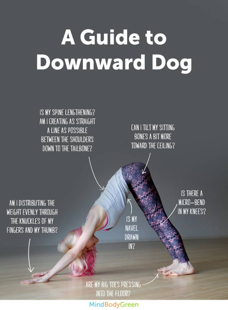 Image result for downward dog