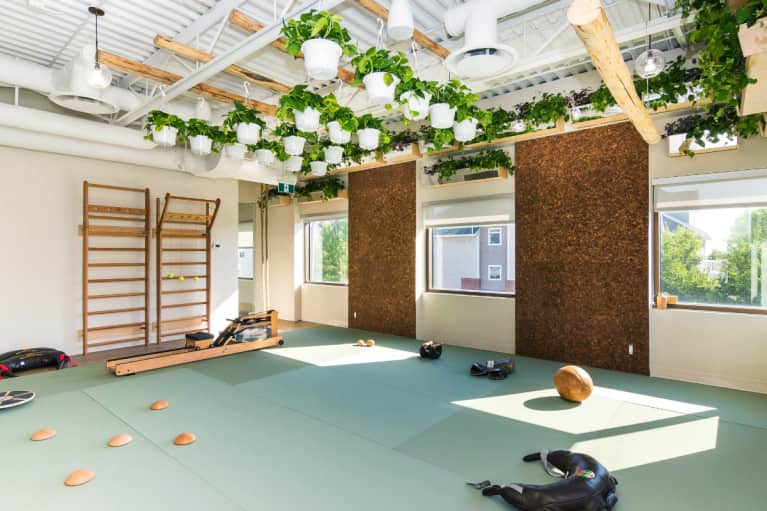 Eco Friendly Gyms Trend