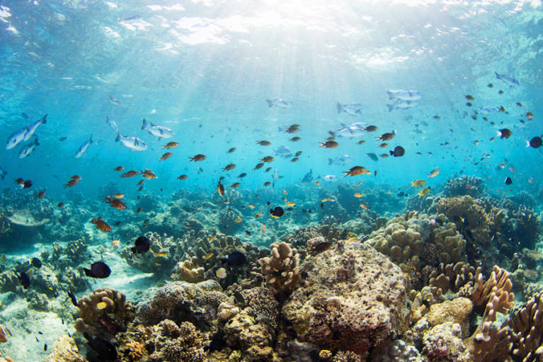 The Ocean Conservancy's Tips For Saving Our Waters - mindbodygreen