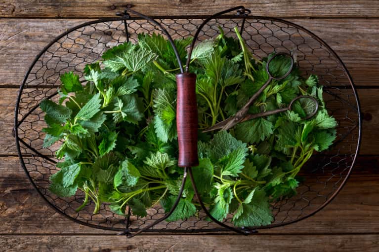 Natural Hangover Cures 9 Healing Herbs Mindbodygreen