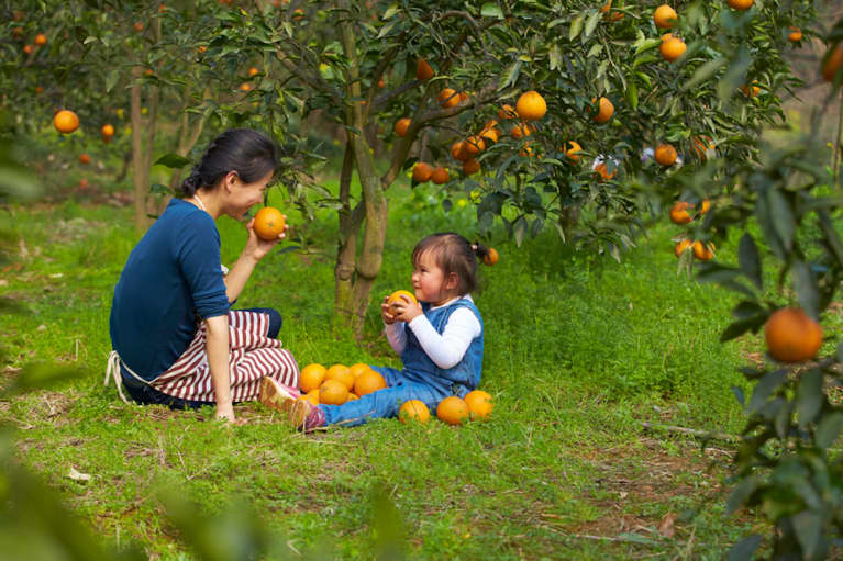 Chinese Principles To Transform Your Life - mindbodygreen