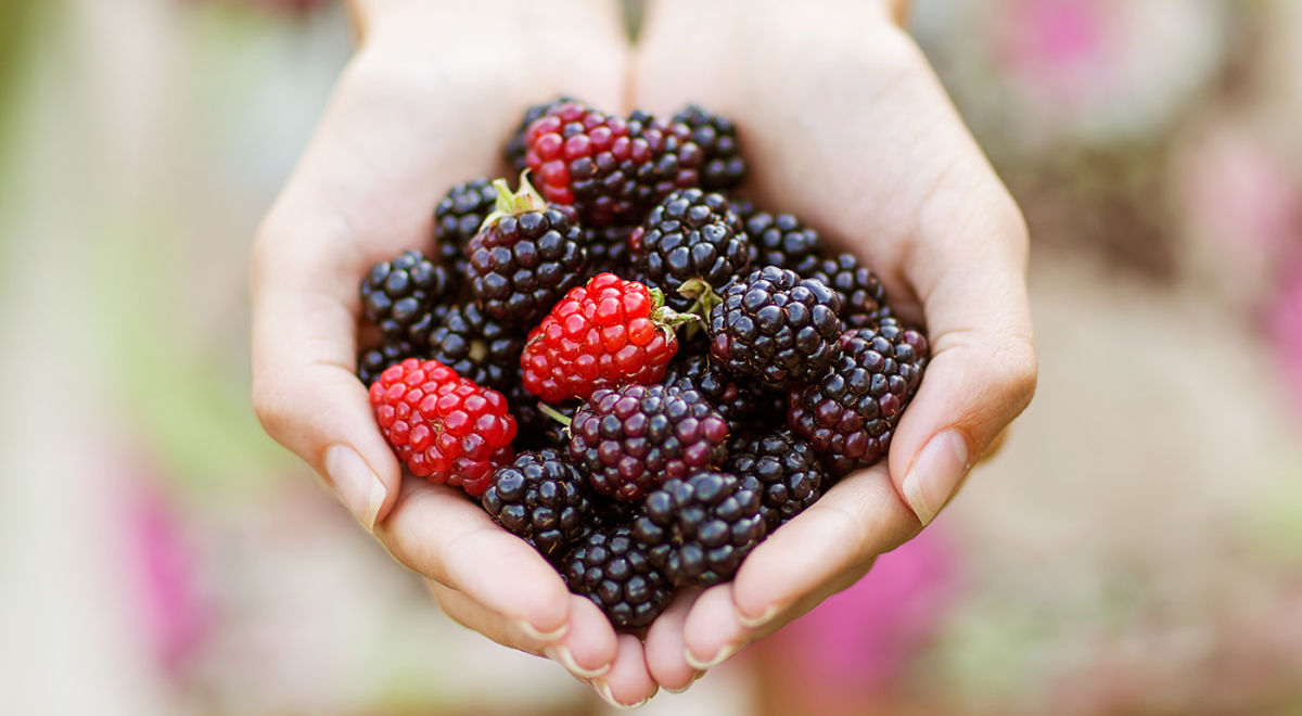 21 FlavonoidRich Foods To Help Anxiety mindbodygreen