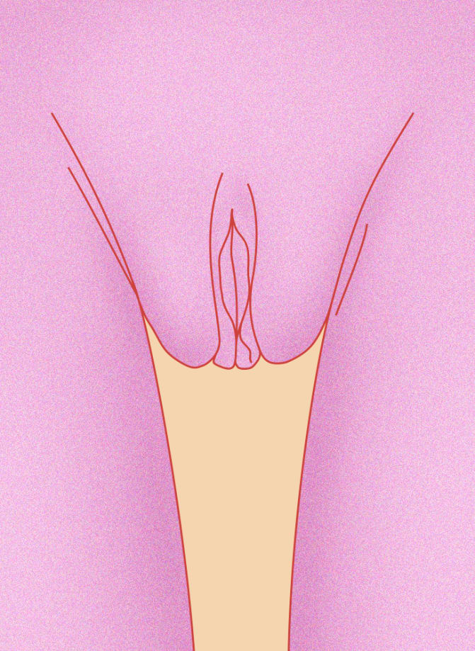 Beautiful Vulva