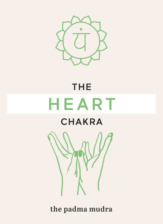 7 Mudras To Unlock Your 7 Chakras Mudras for awakening chakras book. 7 mudras to unlock your 7 chakras