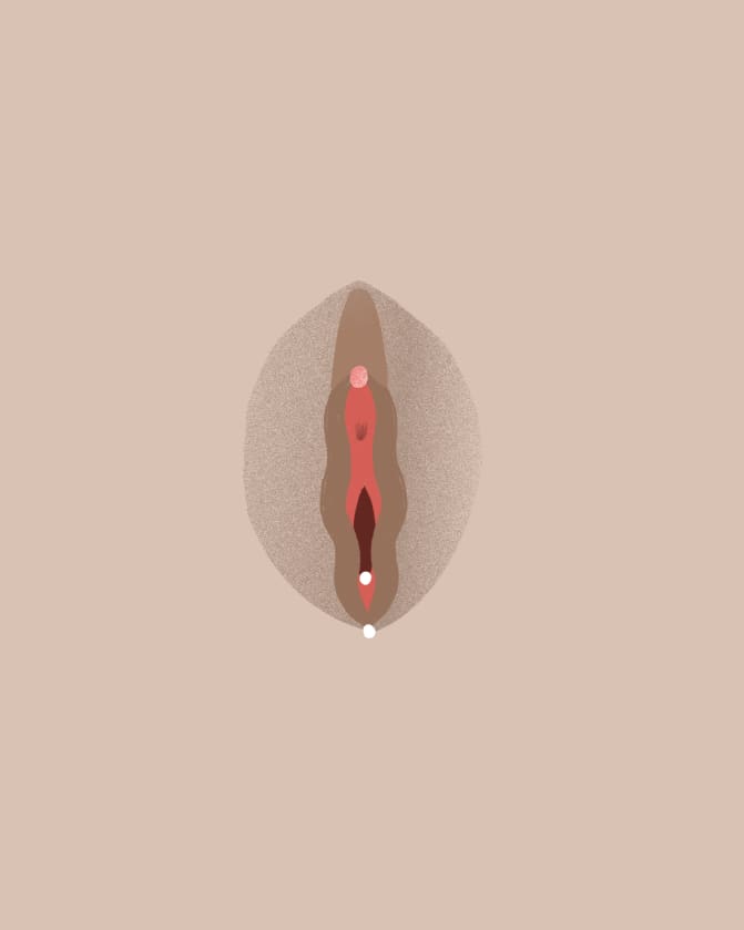 A Full Guide To Vagina Piercings Risks Benefits Photos More