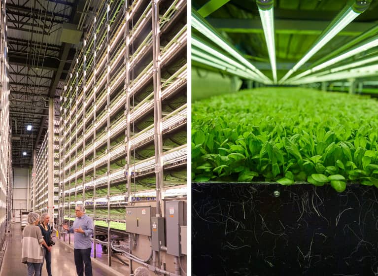 Why Your Next Salad May Come From A Roof, A Boat, Or A Warehouse