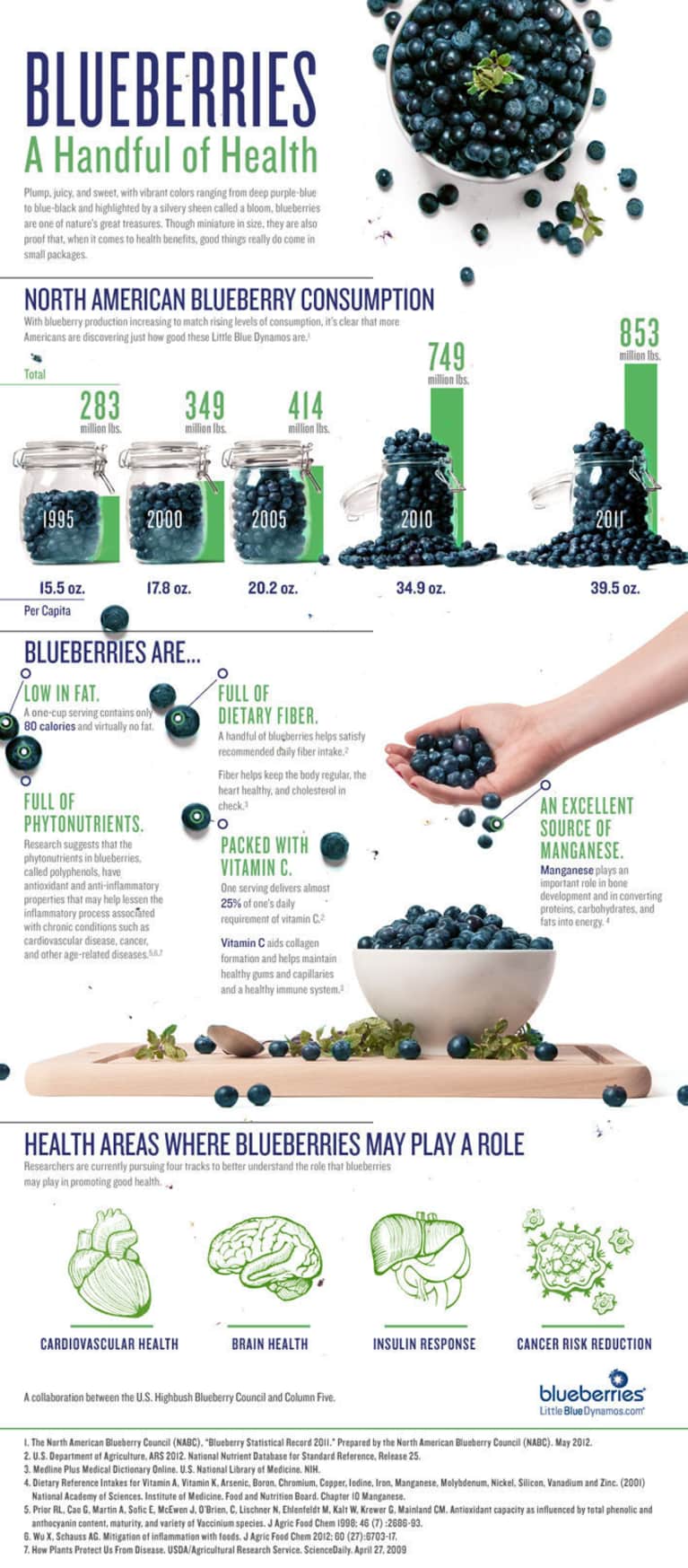 Health Benefits Of Blueberries (Infographic)