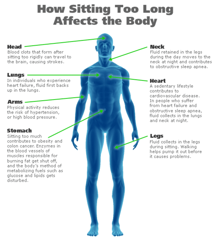 How Sitting Too Long Affects Your Body
