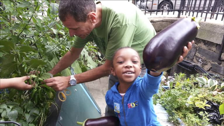 How This Elementary School In The Bronx Is Using Farming As A Vehicle For Change