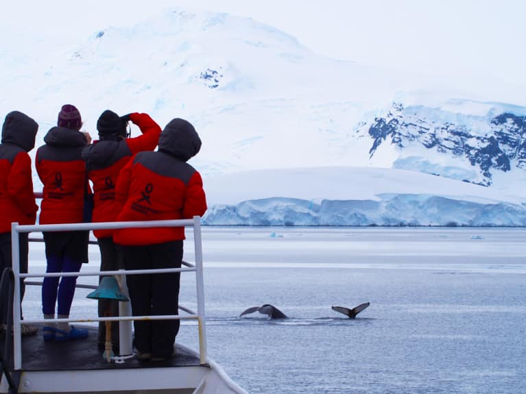 Meet The Largest Group Of Female Scientists Ever To Go To Antarctica