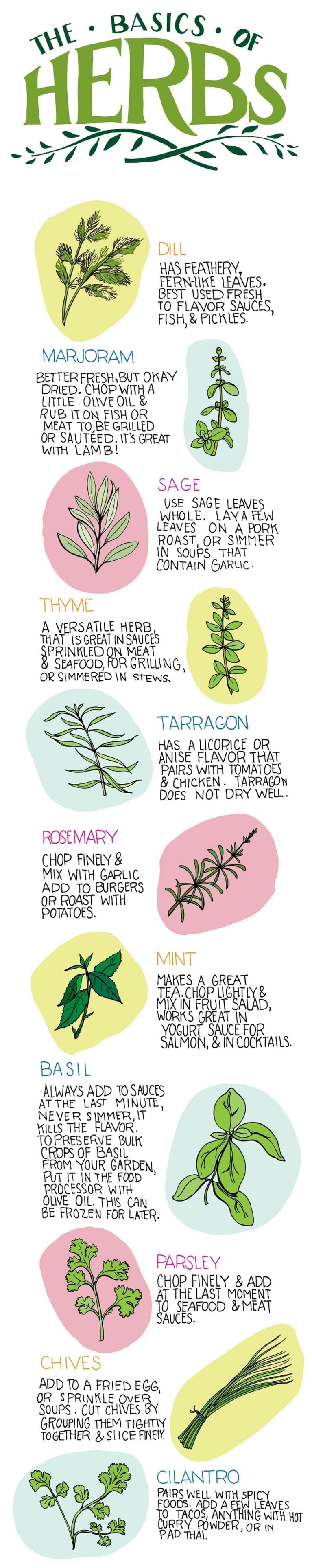 The Basics of Herbs: Cooking Cheat Sheet