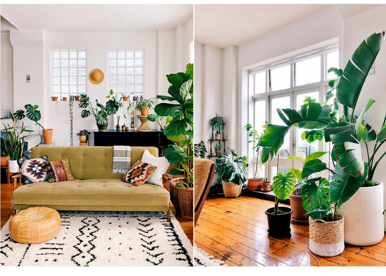 Warning: You WILL Want To Move Into This Bright, Lush New Zealand Loft