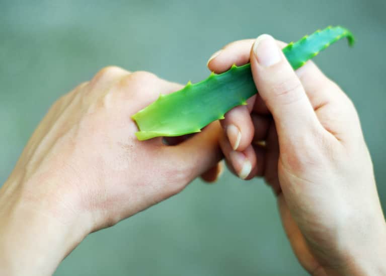The Amazing Uses And Health Benefits Of Aloe Vera