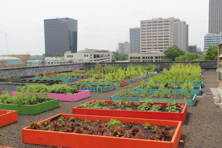 These 9 Urban Farms Will Change The Way You Look At Food